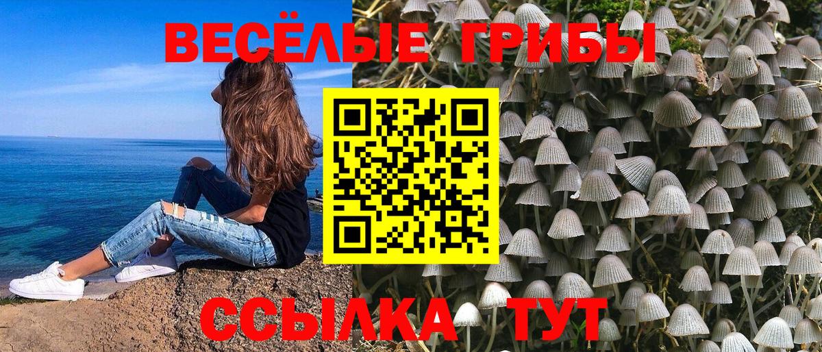 Псилоцибиновые грибы ЛСД  Вход с VPN  Галлюциногенные грибы мухоморы  Ростов-на-Дону 